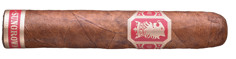 Robusto