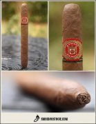 阿图罗富恩特海明威不为人知的故事喀麦隆 ARTURO FUENTE HEMINGWAY UNTOLD STORY CAM