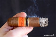 CAIN DAYTONA NUB 460 雪茄