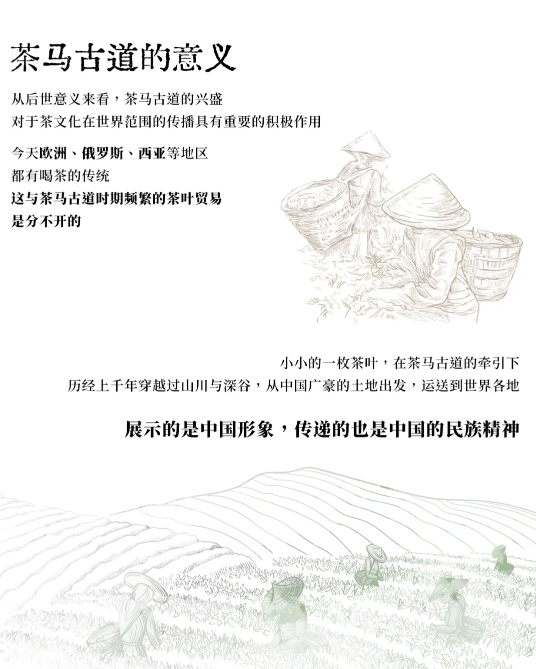 王冠茶马古道雪茄