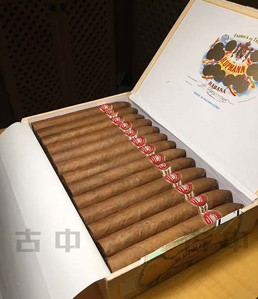 乌普曼 2号鱼雷 | H. Upmann No.2 Belicoso